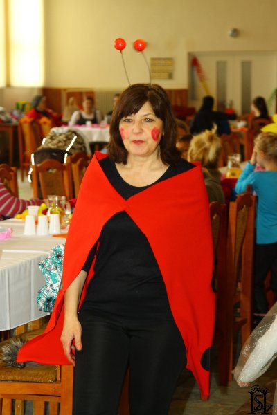 Karneval 2017   103.JPG