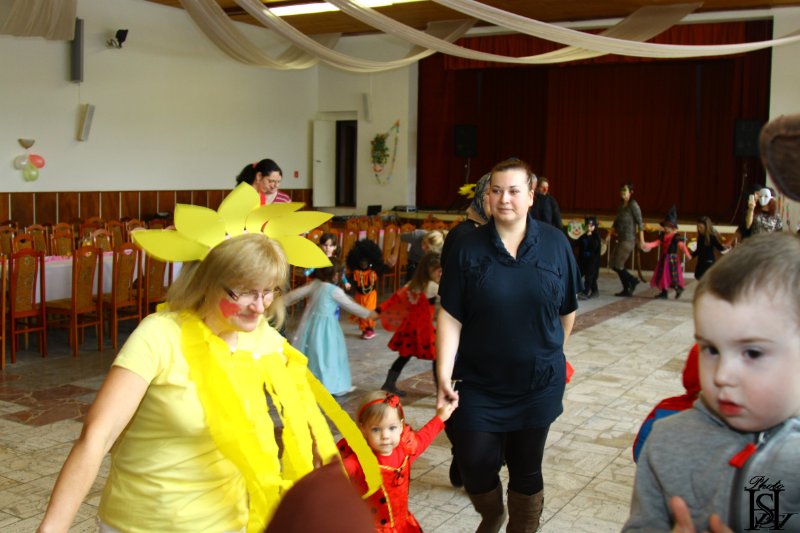 Karneval 2017   12.JPG