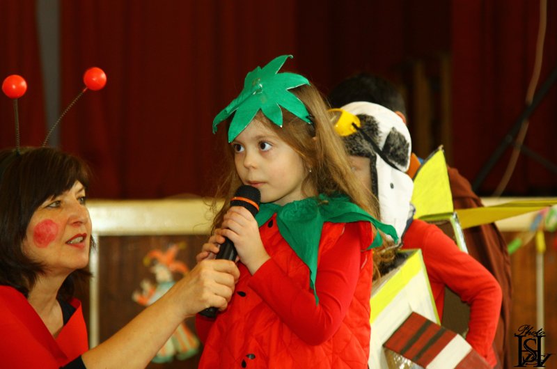 Karneval 2017   74.JPG