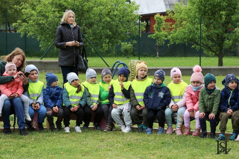 Sokoliar 7.jpg