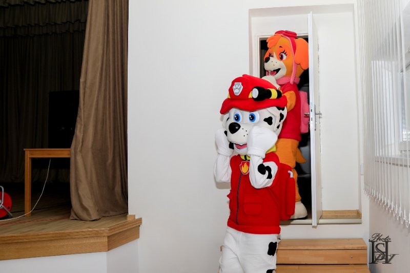 MS-Karneval 32.jpg